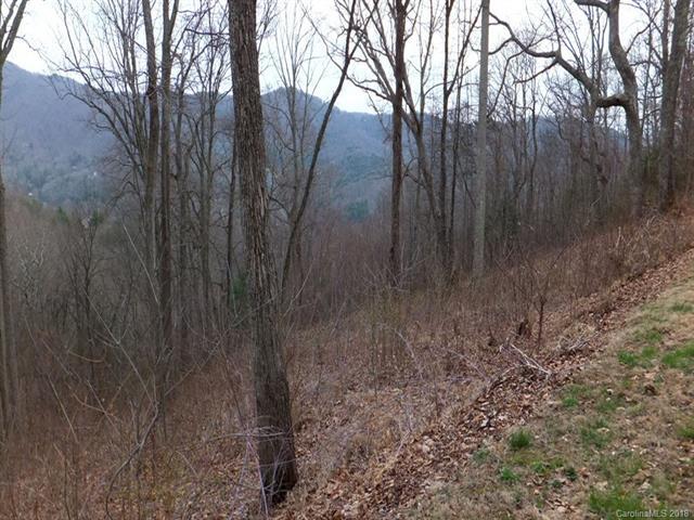 LOT 14 Rambling Ridge Road - Photo 1