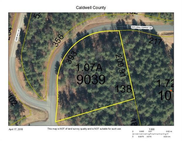 000 National Forest Drive - Photo 1