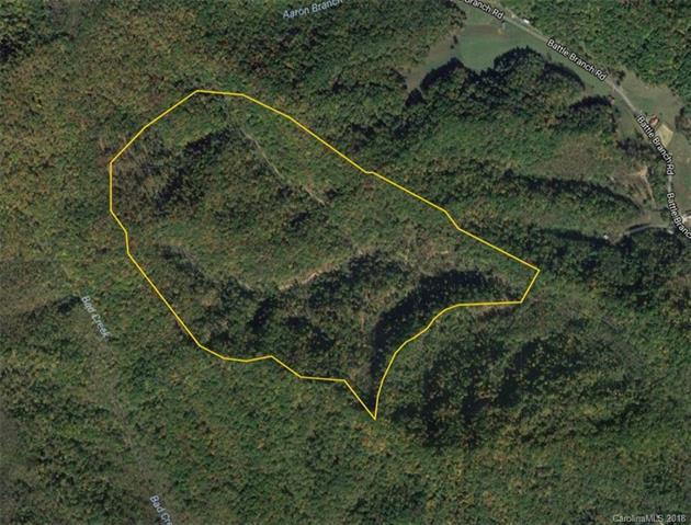 112 +/- Acres Aaron Branch Road - Photo 1