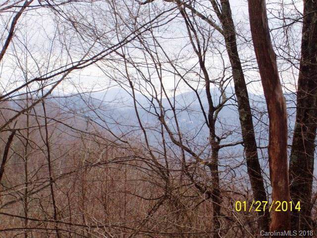 0 Elk Shoals Creek Road - Photo 1