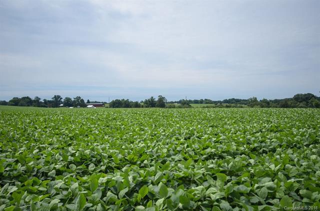 Lot 3 Reepsville Road - Photo 1
