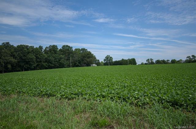 Lot 4 Reepsville Road - Photo 1