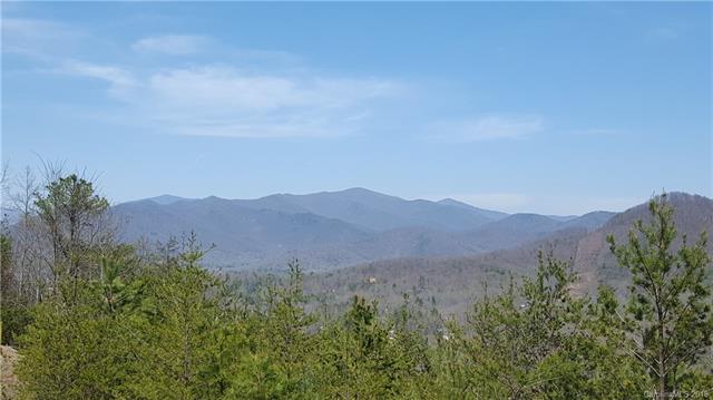 11 Old Greybeard Loop - Photo 1