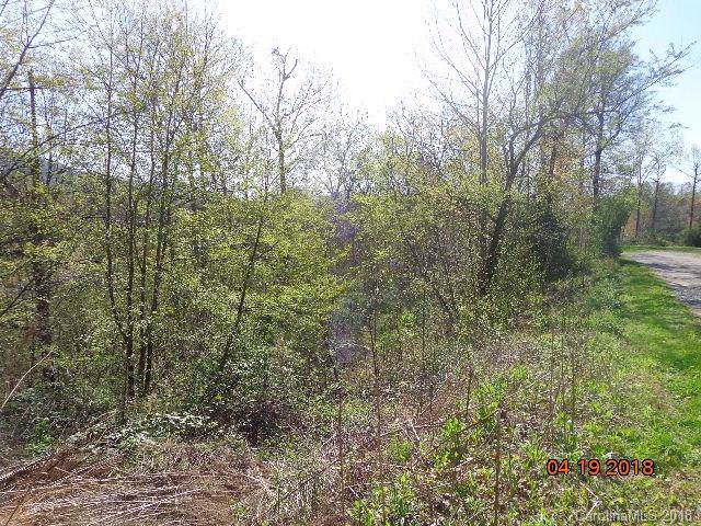 117 Flying Squirrel Ridge - Photo 1