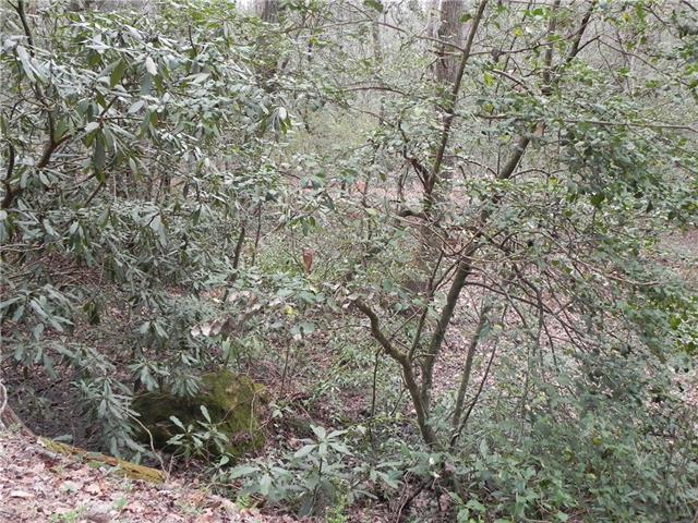V/L Taylorsville Road - Photo 1