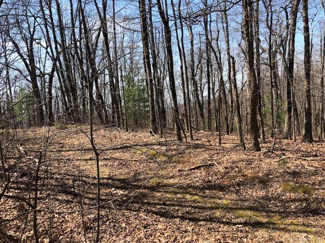 194 Shoal Creek Road - Photo 1