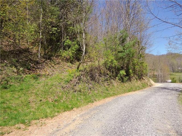 Lot 1 off Higher Ground Ridge - Photo 1