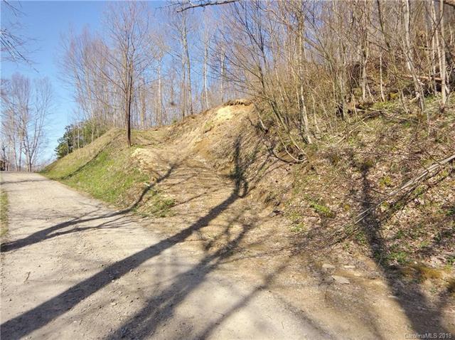 Lot 6 off Spruce Flats Road - Photo 1