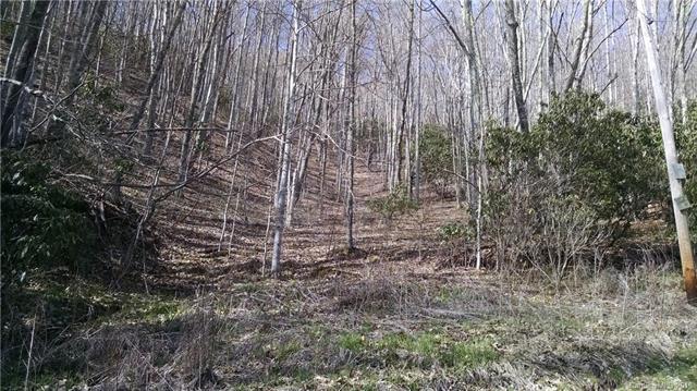 00 Mule Stomp Road - Photo 1
