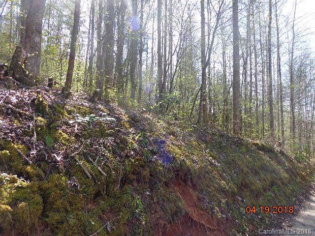 Lot 2 Fiddle And A Bow Lane - Photo 1