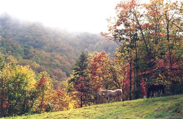 0 Gap Creek Road - Photo 1