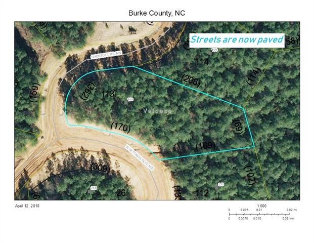 103 Short Trail - Photo 1