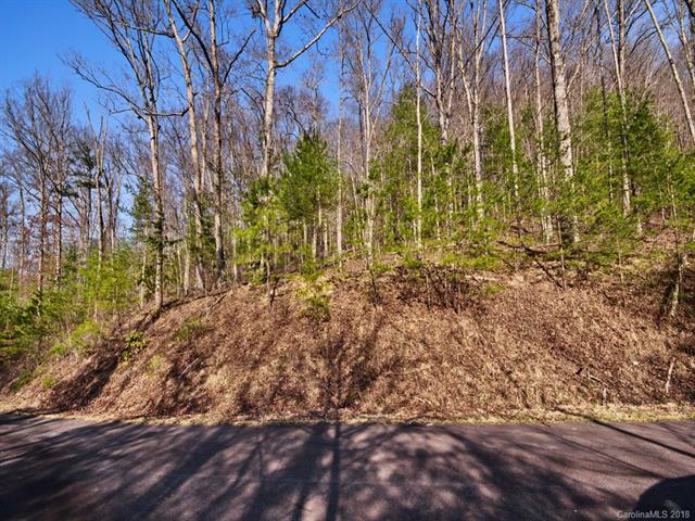 000 Laurel Ridge - Photo 1