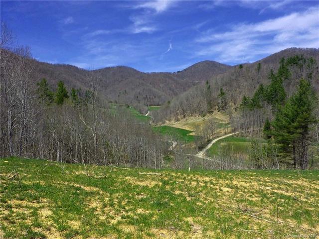 TBD Martins Creek Road - Photo 1