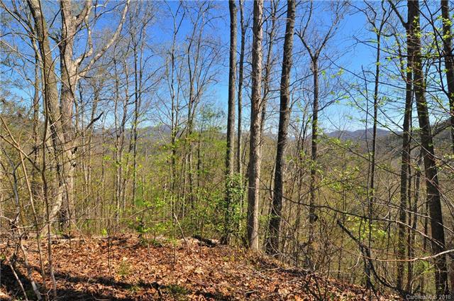 239 Thorncliff Trail - Photo 1