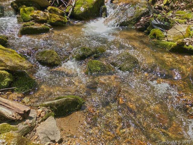 TBD Meadow Fork Road - Photo 1