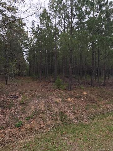 0 Davis Haywood Road - Photo 1