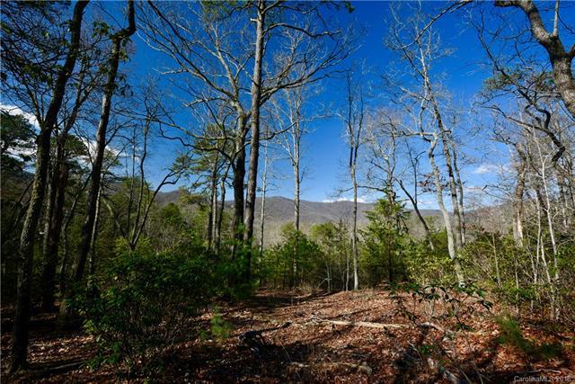 1604 Country View Way - Photo 1
