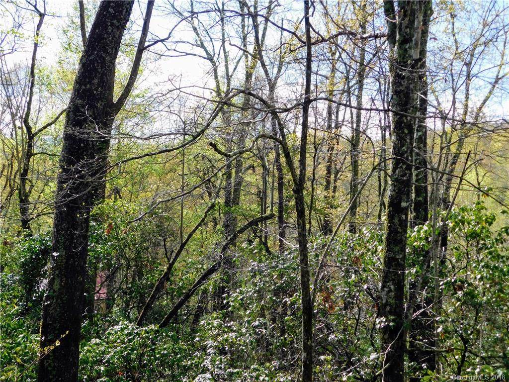 L25R Pisgah Forest Drive - Photo 1