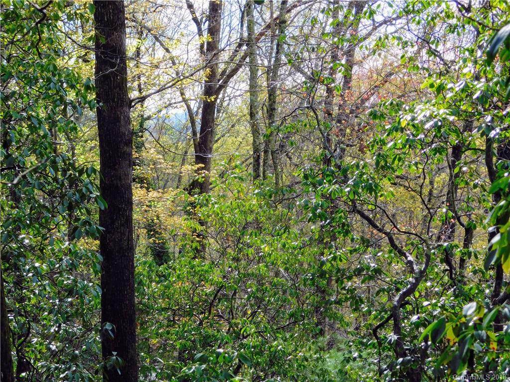 L25R Pisgah Forest Drive - Photo 1