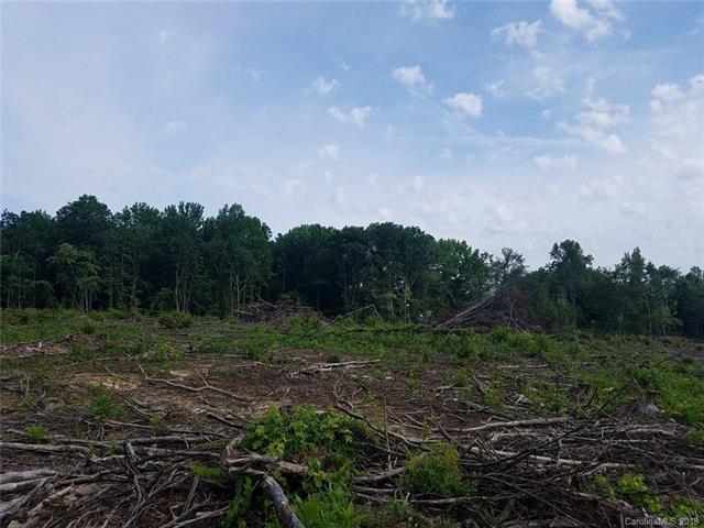 Tract4 Dunns Mountain Road - Photo 1