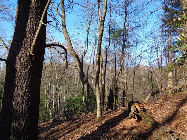 Lots 7A & 9A Cawood Lane - Photo 1