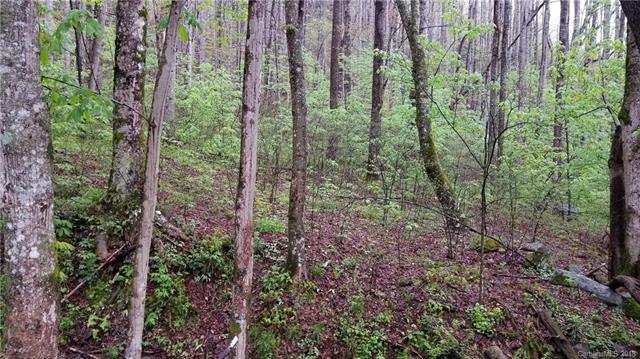 16 Roaring Creek Lane - Photo 1