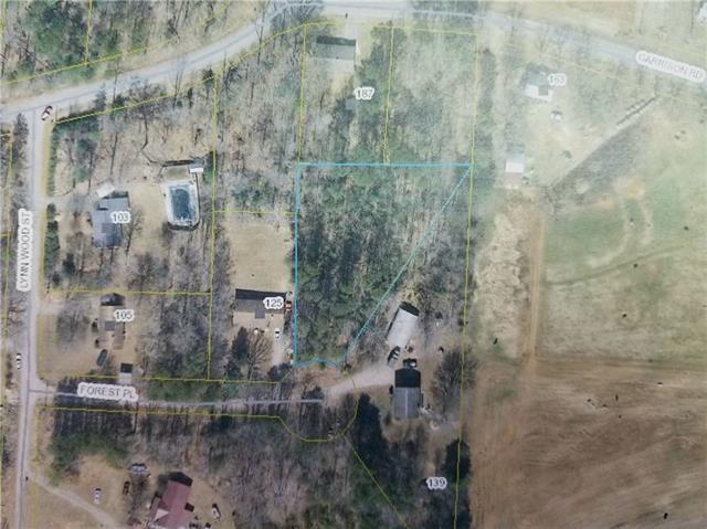 0 Forest Place - Photo 1