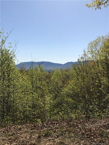 Lot CC-22 Nuthatch Lane - Photo 1