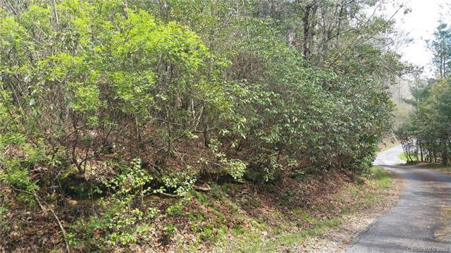 TBD 5 Lots Pine Shore Drive - Photo 1