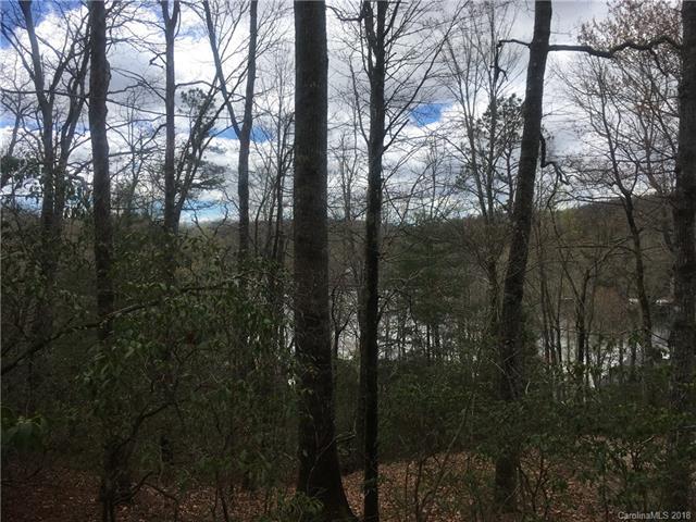 Lot 35 Gawanv Court - Photo 1