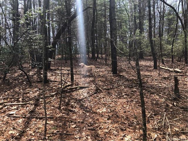 755 Green River Road - Photo 1