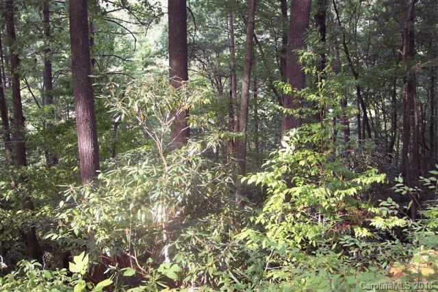 Lot 105 Fragrant Pine Drive - Photo 1