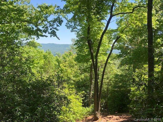 M24 Elk Mountain Trail - Photo 1