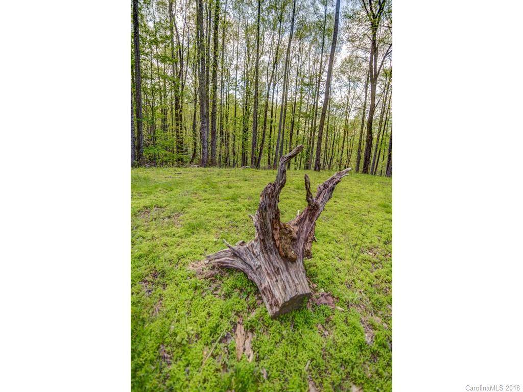 Lot 7 Powder Springs Trail - Photo 1