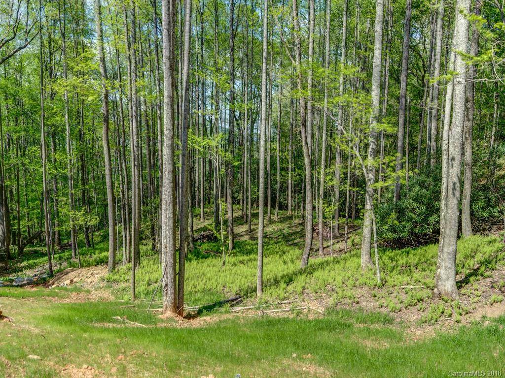 Lot 3 Powder Springs Trail - Photo 1