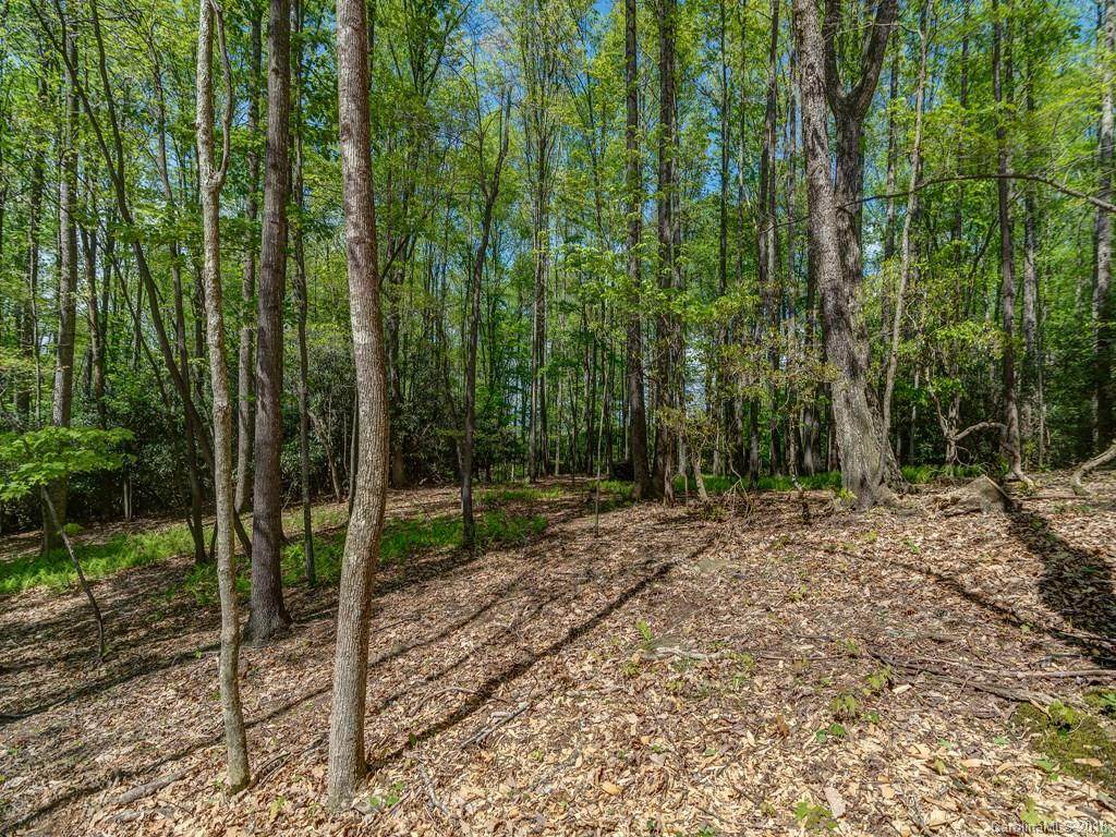 Lot 2 Powder Springs Trail - Photo 1