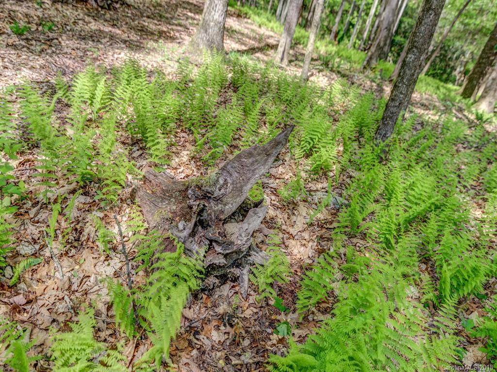 Lot 2 Powder Springs Trail - Photo 1