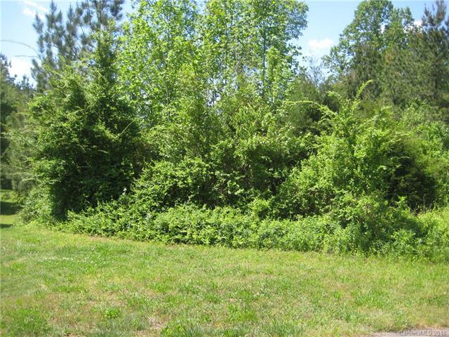 525 Harvest Moon Lane - Photo 1