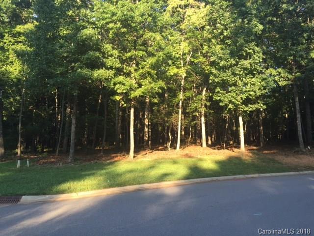 81 Running Creek Trail - Photo 1