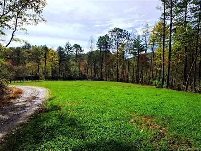 1338 Conley Springs Road - Photo 1