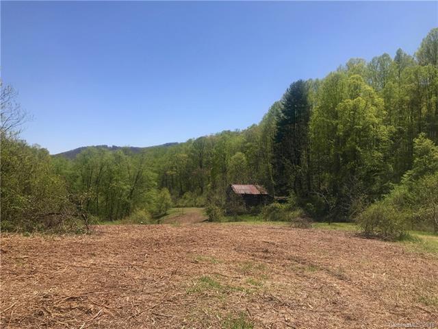 210 Brooks Branch Road - Photo 1