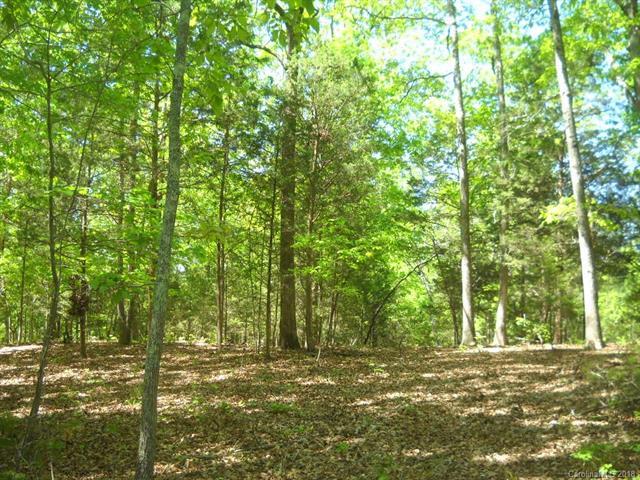 4000 Oldstone Forest Drive - Photo 1