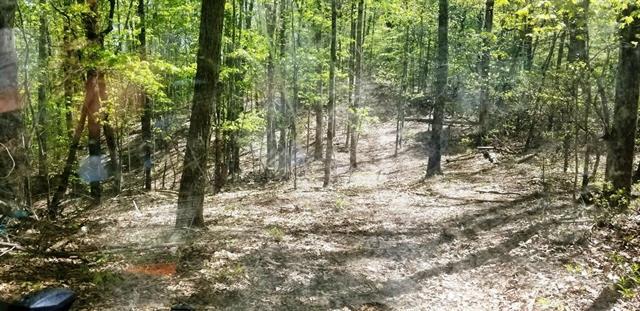 00 Bill Tuttle Road - Photo 1