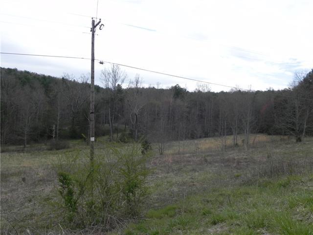 Vacant Land Taylorsville Road - Photo 1
