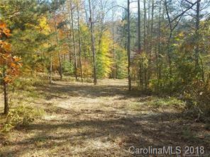 Lot 138 Whitfield Lane - Photo 1