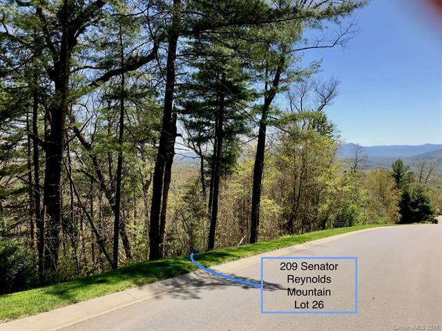 209 Senator Reynolds Road - Photo 1