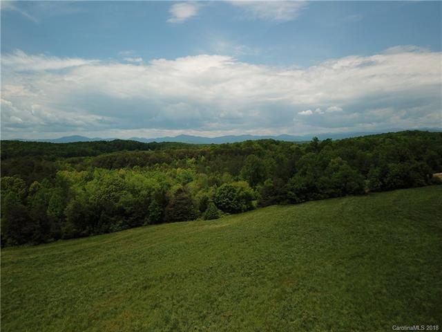 0 Dave Sims Road - Photo 1
