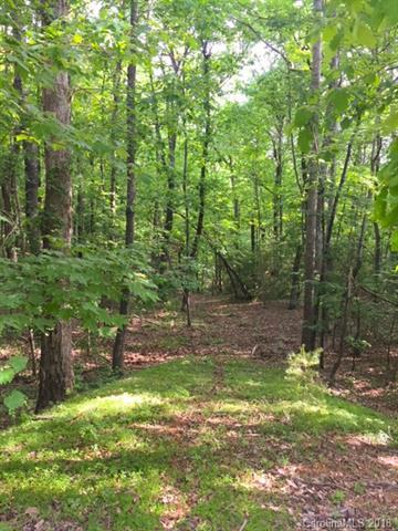 LOT 50 A Oak View Lane - Photo 1