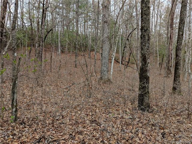 0 Line Runner Lake Road - Photo 1